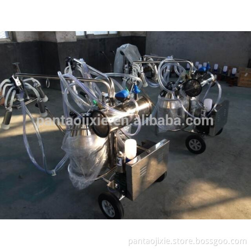 New design milking machine for cows for sale